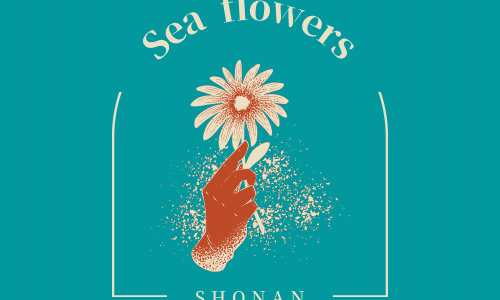 『Sea flowers shonan 』2023アンバサダー・パートナー募集&応募フォーム